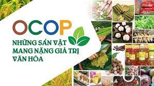 Đẩy nhanh tiến độ triển khai Chương trình OCOP năm 2024    