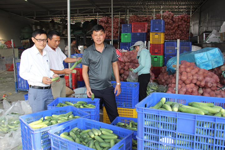 Hợp tác xã Hoàng Nam Phát đẩy mạnh thu mua, tiêu thụ nông sản