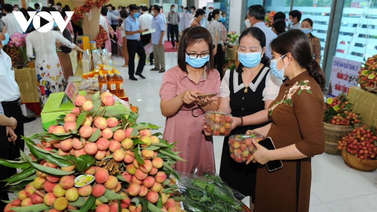 Chống dịch Covid-19: Linh hoạt các phương án tiêu thụ nông sản