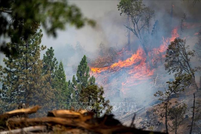 Mỹ: Cháy rừng lớn ở California bùng phát trở lại do thời tiết rất nóng và khô