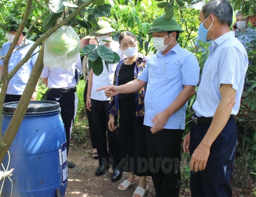 VIDEO: Phó bí thư Thường trực Tỉnh ủy kiểm tra các mô hình phân loại, xử lý rác hữu cơ