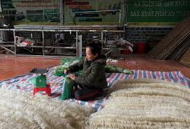 VIDEO: Các hộ chế biến mì gạo Chi Lăng Bắc mong được hỗ trợ xây dựng thương hiệu sản phẩm OCOP