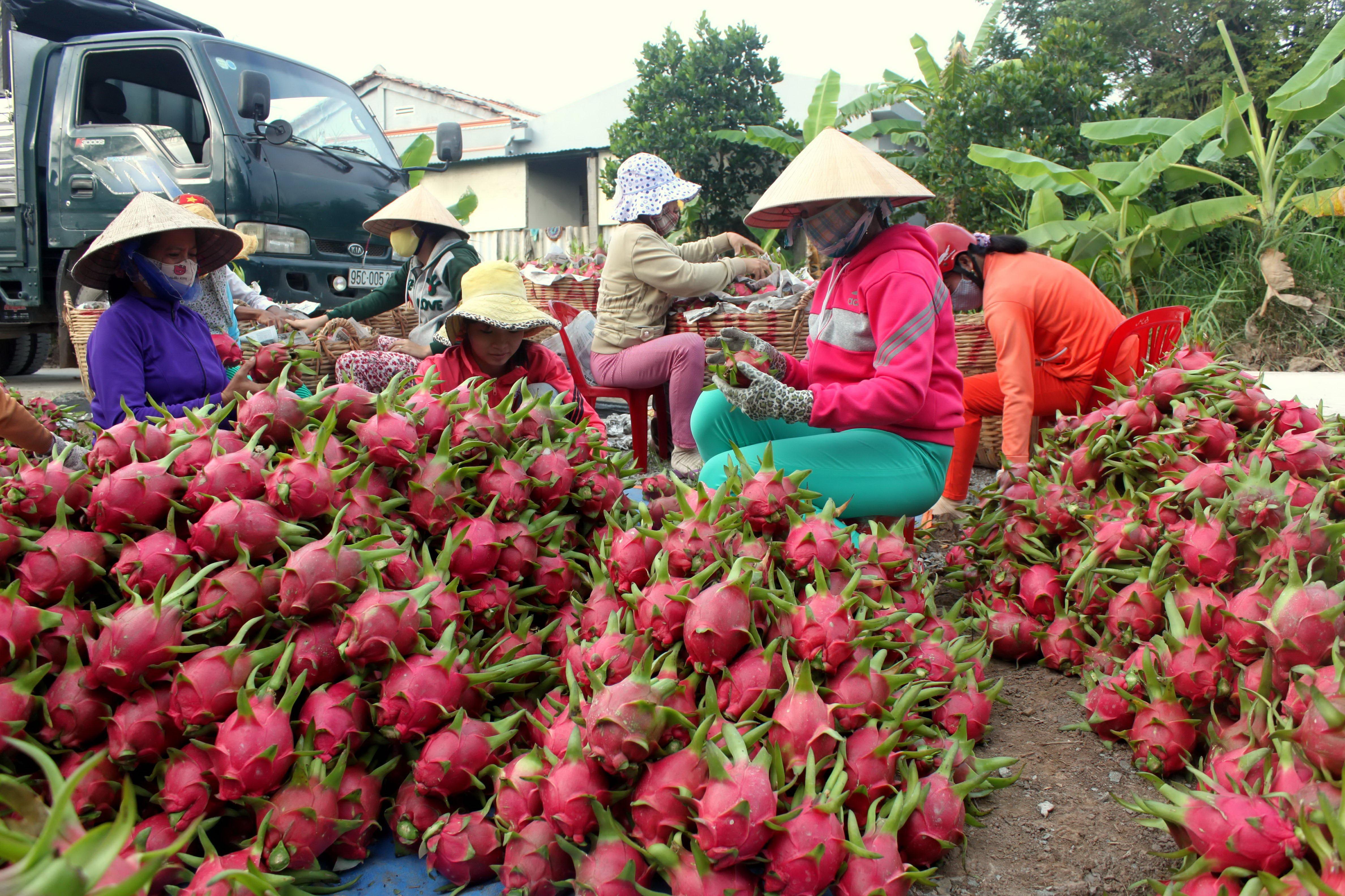 Kiểm soát chặt nông sản xuất khẩu