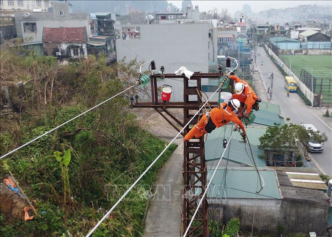 Đã khôi phục cấp điện cho 98% khách hàng bị ảnh hưởng bởi bão số 3 