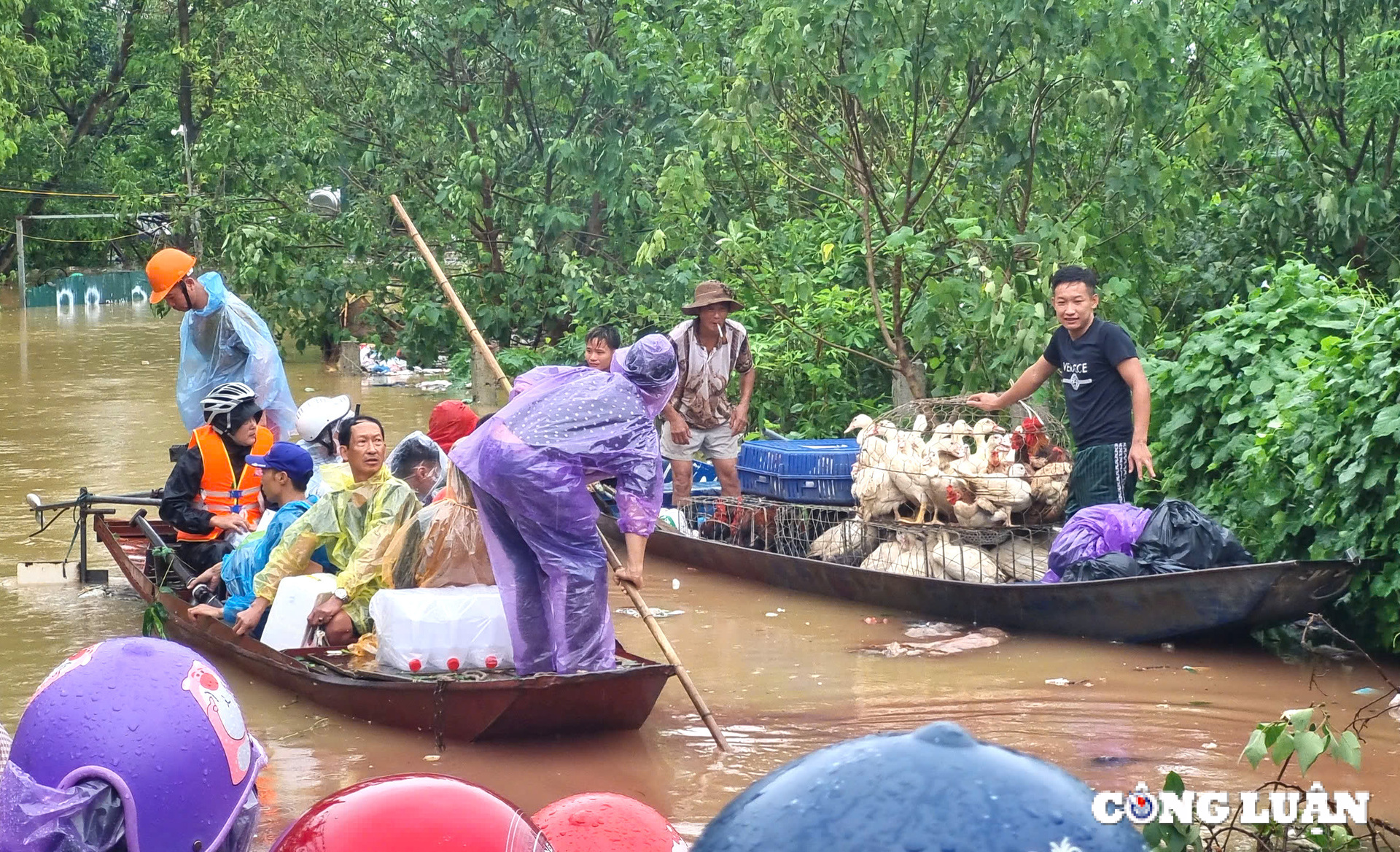 Xử lý môi trường sau bão: Ngăn chặn nguồn gây bệnh để tránh dịch chồng dịch