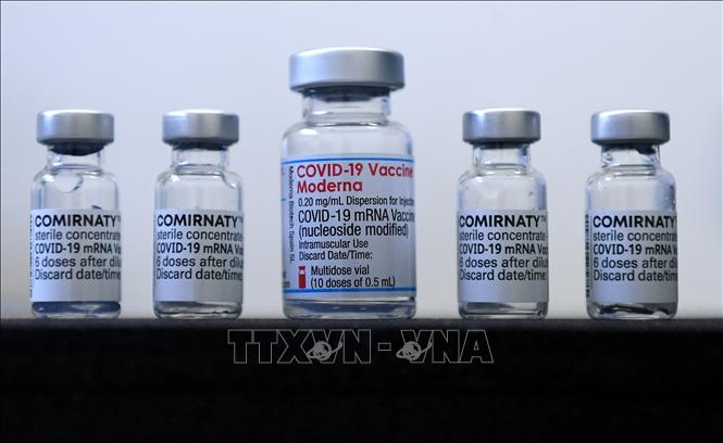 WHO chưa khuyến nghị sử dụng vaccine đặc hiệu ngừa biến thể Omicron thay cho loại cũ 