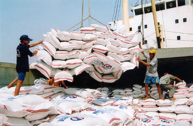 Xuất khẩu gạo xác lập kỷ lục với doanh thu 4 tỷ USD 