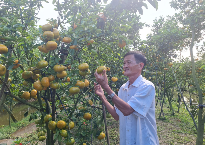 Tìm cách cung ứng nông sản an toàn