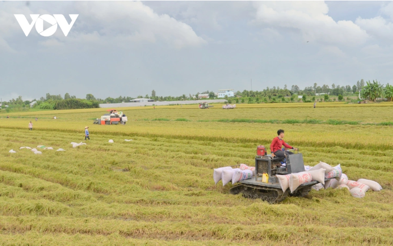 Áp thuế GTGT phân bón, cần tính cả yếu tố tác động người dân và doanh nghiệp