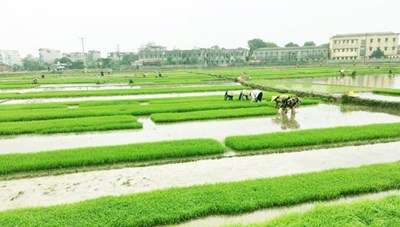 Bình Giang địa phương đầu tiên hoàn thành làm thủy lợi đông xuân