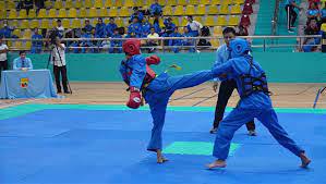 Giải Vô địch các Câu lạc bộ Vovinam tỉnh Hải Dương 