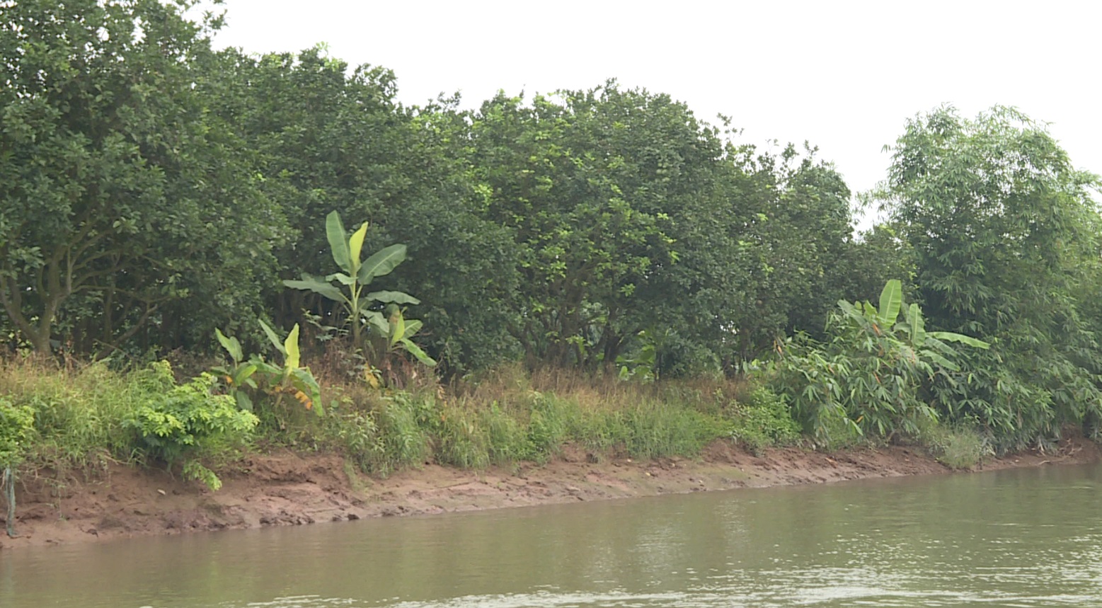 Phòng chống thiên tai 