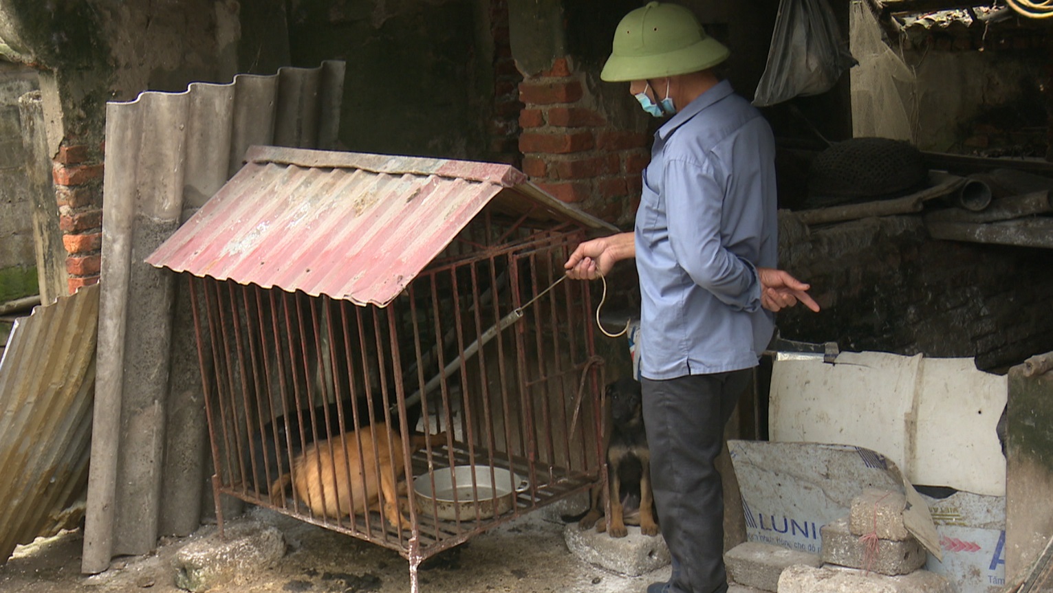 ĐỒNG HÀNH CÙNG NHÀ NÔNG: Phòng bệnh dại cho đàn chó mèo