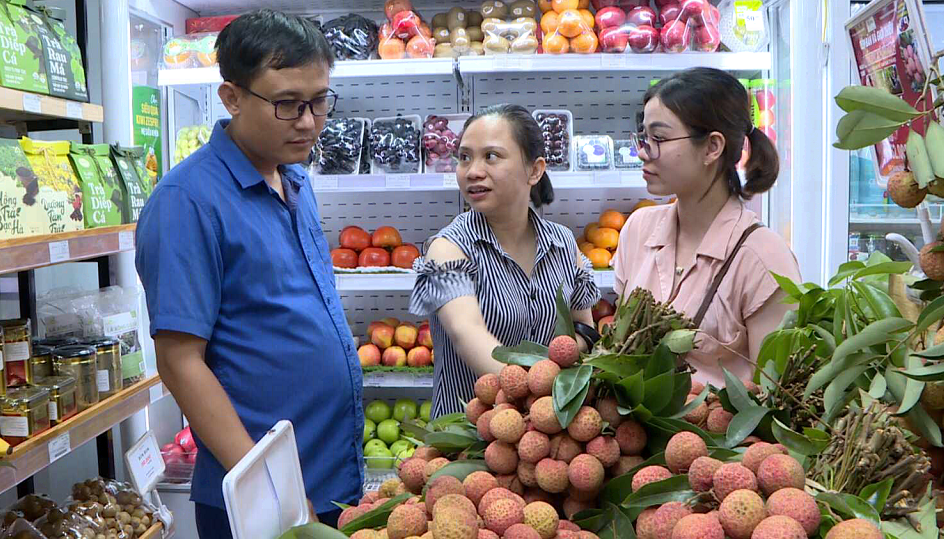 Khai trương điểm trưng bày giới thiệu và bán vải thiều Thanh Hà tại Hà Nội