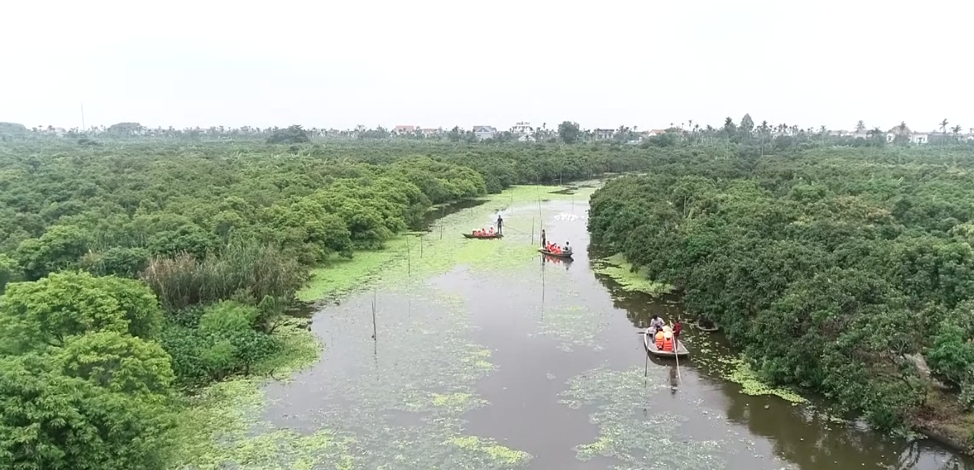 Năm 2023, Thanh Hà có 172 mã số vùng trồng vải xuất khẩu