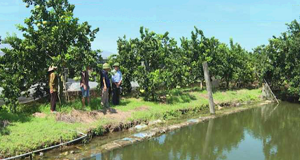 SAI PHẠM TRONG QUẢN LÝ ĐẤT ĐAI TẠI AN THƯỢNG - NGUYÊN NHÂN DẪN ĐẾN ĐƠN THƯ KÉO DÀI