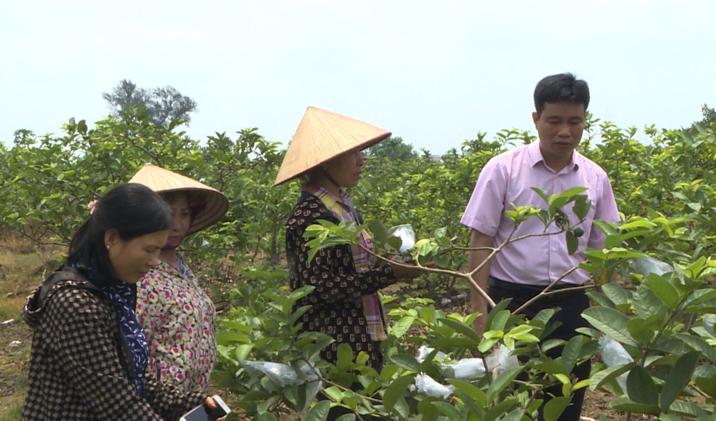 HỖ TRỢ KHÁCH HÀNG VAY VỐN TÍN DỤNG CHÍNH SÁCH KHẮC PHỤC HẬU QUẢ BÃO, LŨ