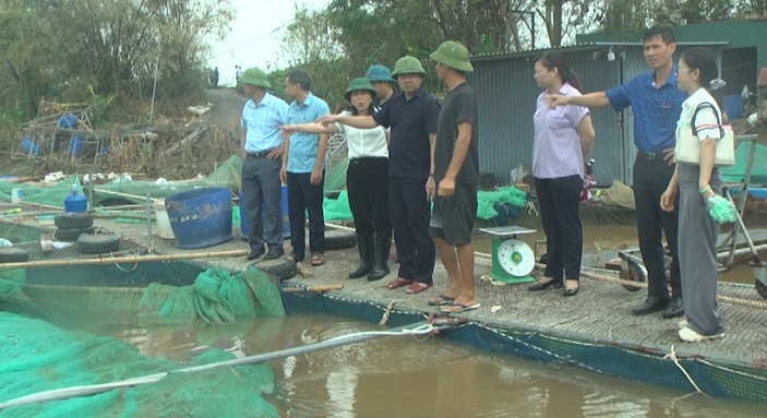 HỖ TRỢ NÔNG DÂN TÁI SẢN XUẤT SAU BÃO SỐ 3