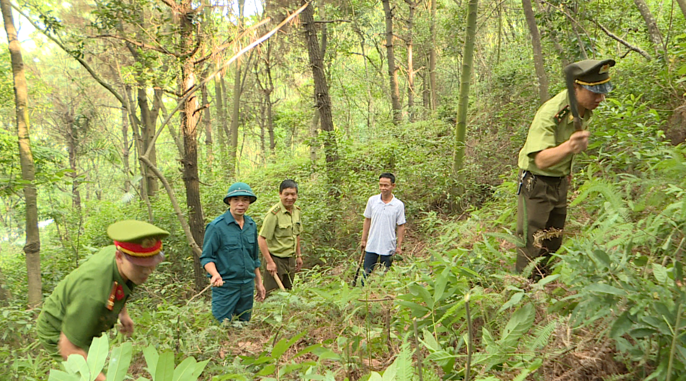 KINH MÔN TĂNG CƯỜNG PHÒNG CHỐNG CHÁY RỪNG