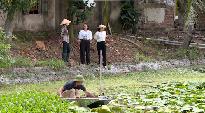 MÔ HÌNH NUÔI ỐC NHỒI THƯƠNG PHẨM GIÁ TRỊ KINH TẾ CAO