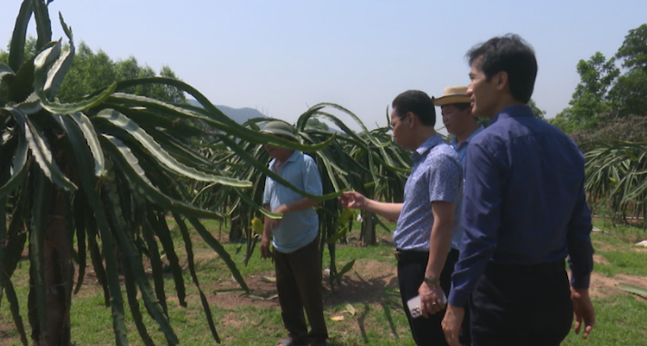 TẬP TRUNG NGUỒN VỐN ƯU ĐÃI CHO VAY GIẢI QUYẾT VIỆC LÀM