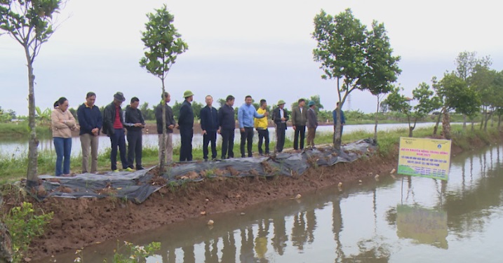 TRIỂN VỌNG MÔ HÌNH NUÔI RƯƠI KẾT HỢP SẢN XUẤT LÚA GẮN VỚI TIÊU THỤ SẢN PHẨM