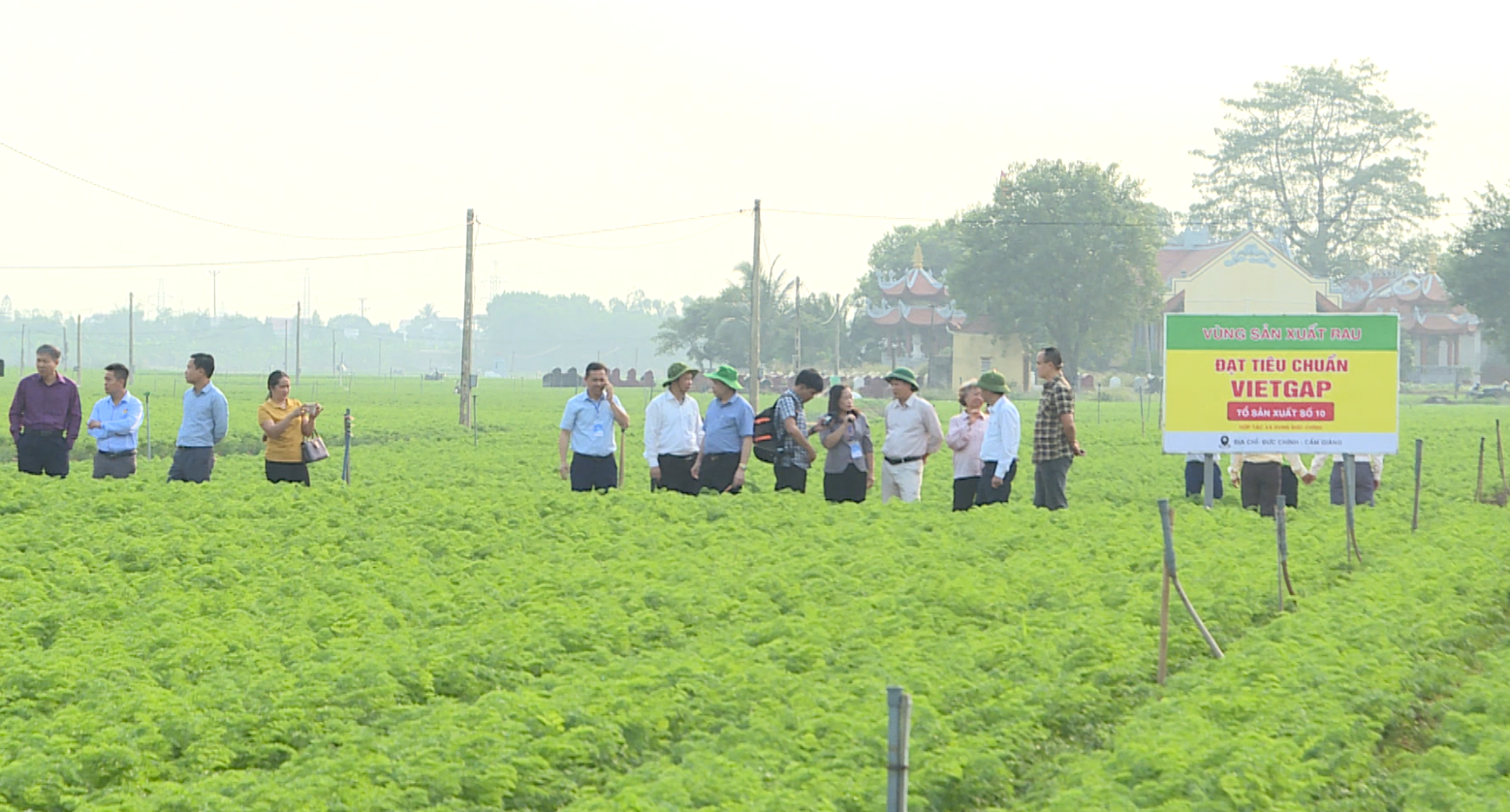 SỞ NÔNG NGHIỆP VÀ PHÁT TRIỂN NÔNG THÔN 28 TỈNH, THÀNH MIỀN BẮC THĂM SẢN XUẤT VỤ ĐÔNG HẢI DƯƠNG