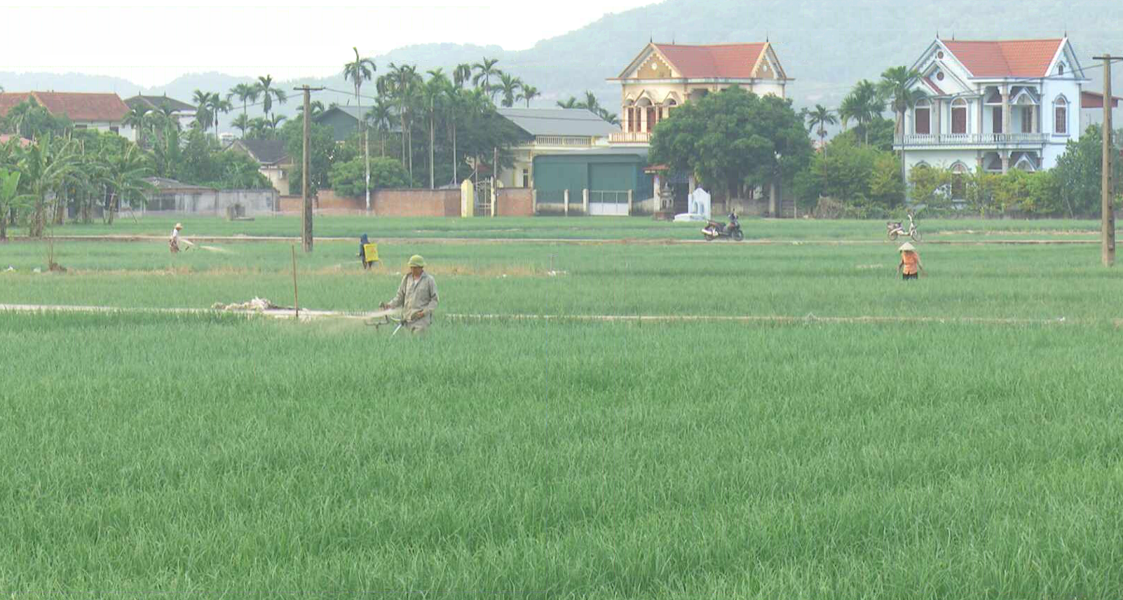 THƯỢNG QUẬN PHÁT TRIỂN VÙNG SẢN XUẤT NÔNG NGHIỆP GẮN VỚI TRUY XUẤT NGUỒN GỐC