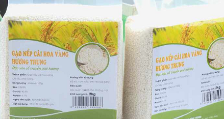 DUY TÂN NÂNG CAO GIÁ TRỊ GẠO NẾP CÁI HOA VÀNG TỪ THƯƠNG HIỆU OCOP